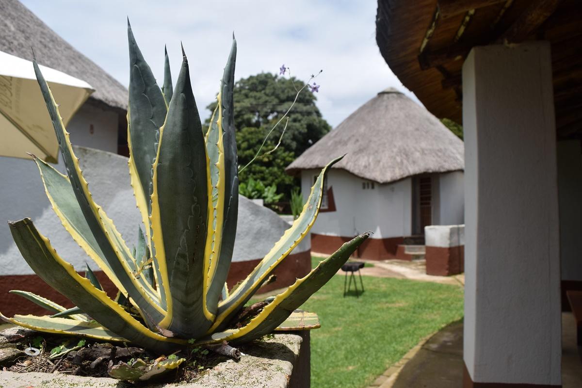 Sheri'S Lodge & Backpackers Graskop Exterior photo